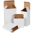 Folding Carton